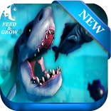 New Feed And Graw Fish Tips