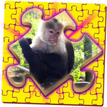 Kids Puzzle Jigsaw - Travel