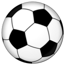 Gelora Bung Karno - Asian Games APK