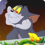 tom and jerry videos