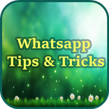 Tips & Tricks For  WhatsApp