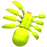 Attacking Bugs