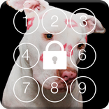 Lovely Love Dog Screen Lock