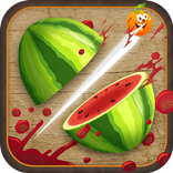 Fruit Slice