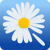 Love Me APK