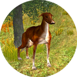 Dog Survival RPG Simulator