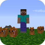 Mod Dogs