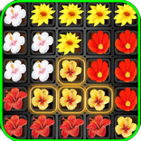 Crazy Flower Crush