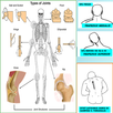 Injury Massage Therapy APK