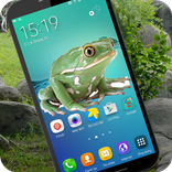 Frog on Screen : Prank