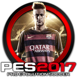 GUIDE PES 17