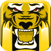 Temple Forest Rush APK