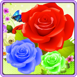 Bubble Rose