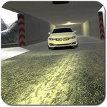 Mountain Race Simulator