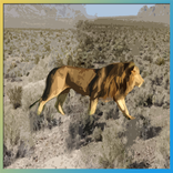 Lion Hunter