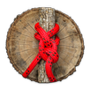 Arborist Knots APK