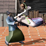Karate Fighter - Taekwondo Kung fu Tiger Combat 3D