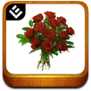 Flowers Book APK