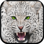 Snow Leopard Survival Sim