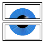 Vision Share (Beta)