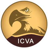 ICVA Group