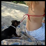 Videos de risa