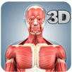 Muscle Anatomy Pro. APK