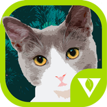 Cats Puzzles