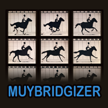 The Muybridgizer