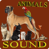 Animals Sound