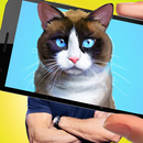 APK Cat Head Photo Editor - Make total cat face