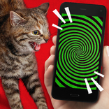 Tease Cat! Hypnosis simulator
