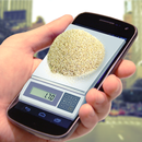 Pocket Scales Simulator 2 APK