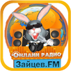 Zaitsev Radio FM APK