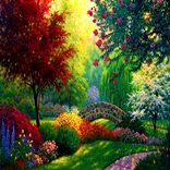 Live Beautiful Nature Wallpapr