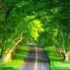 Beauty Of Kishtwar APK