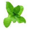 Diabetes Solution (Gujarati) APK