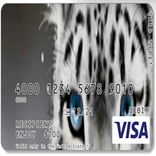 Credit Cat