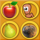 Fruits catching APK