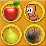 Fruits catching