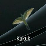 Kukuk Browser