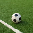 SPORT IF icon