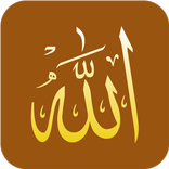 Sh Cabdirashid Cali Suufi
