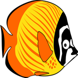 Tropical Fishing