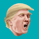 Trump Fly On The Sky
