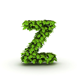 Z Browser