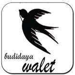 Suara Pemikat Burung Walet