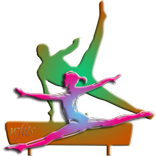Gymnast Companion