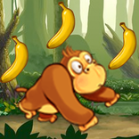 Kong Jungle 2017 Adventure