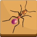 Ant Smasher